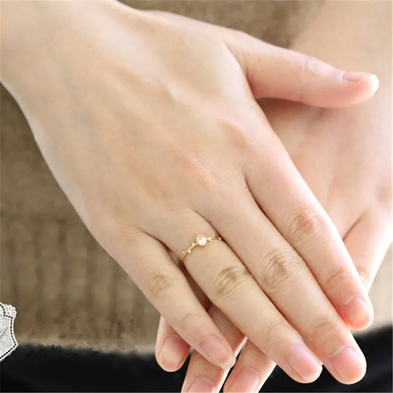 Korea Exquisite Inlaid Zircon Twigs Small Leaves Ring 925 Sterling Silver 14K Gold Plated Ring for Women Jewelry Gift